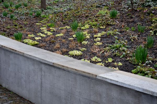 Concrete Wall Construction in Westfield