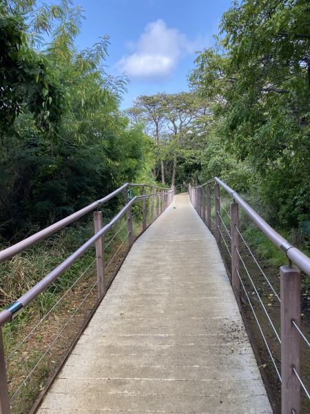 Footpath Construction in Westfield
