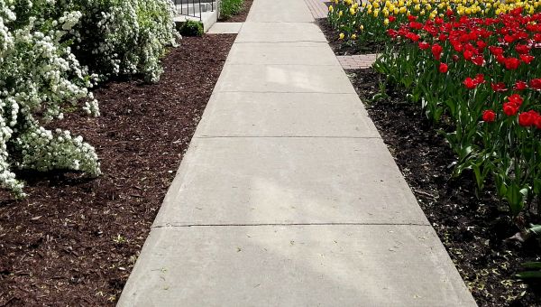 Cement Sidewalk Installation in Westfield