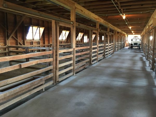 Barn Floor Pouring in Westfield