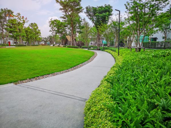 Cement Walkway Service in Westfield