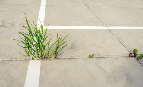 Cost of Concrete Parking Installation in Westfield
