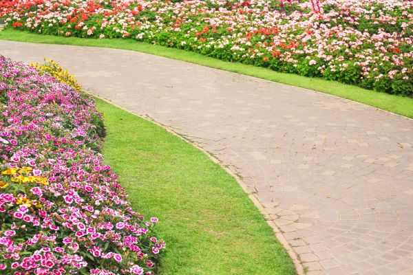 Concrete Walkway Service in Westfield
